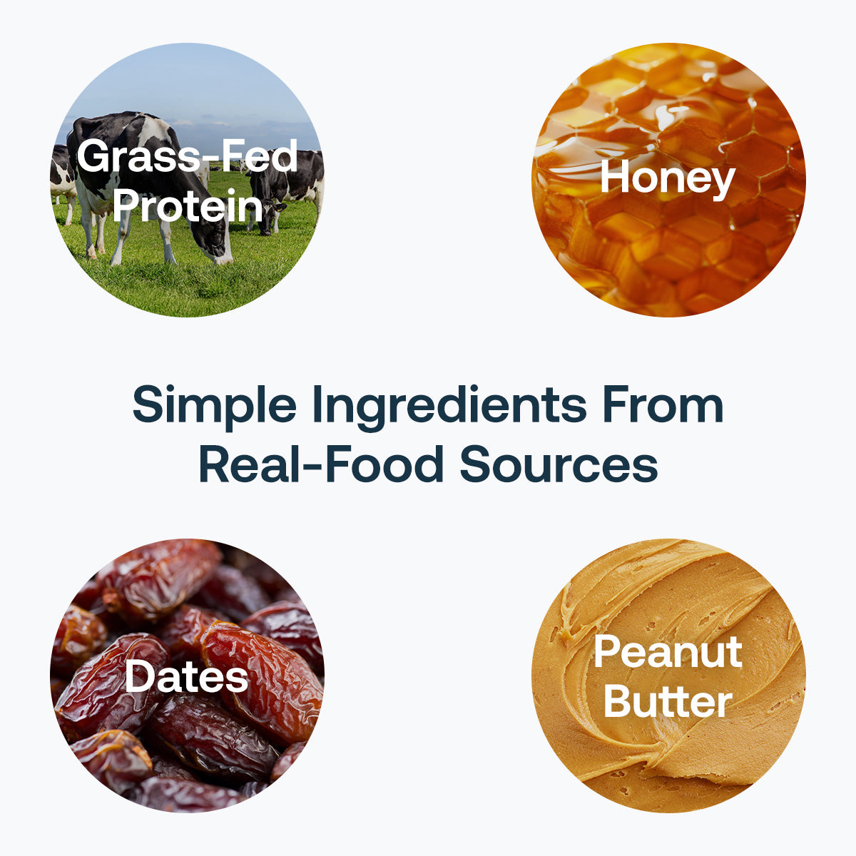 4_-_Ingredients.jpg